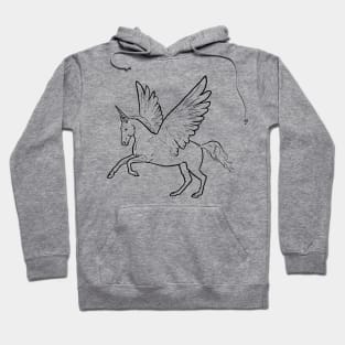 Unicorn + Pegasus = Alicorn! Hoodie